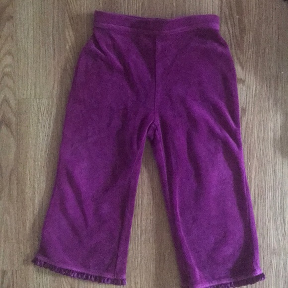 Gymboree Velour 2 piece Sweatsuit Size 2T/3T - Picture 3 of 3